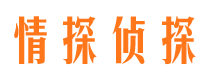 白朗侦探公司